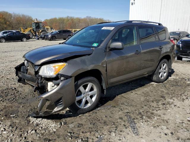 TOYOTA RAV4 2012 with VIN 2T3BF4DVXCW256652 - Photo from auction