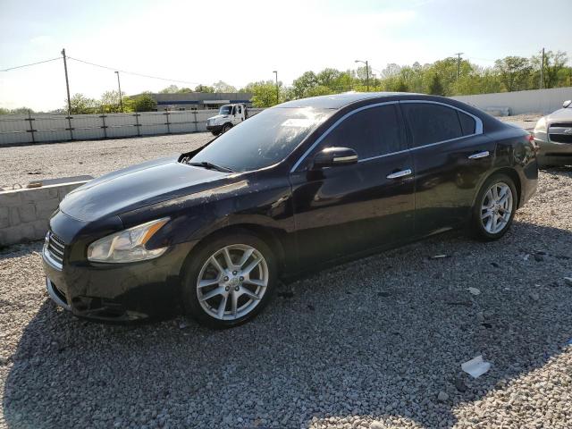 NISSAN MAXIMA S 2009 with VIN 1N4AA51E29C808358 - Photo from auction