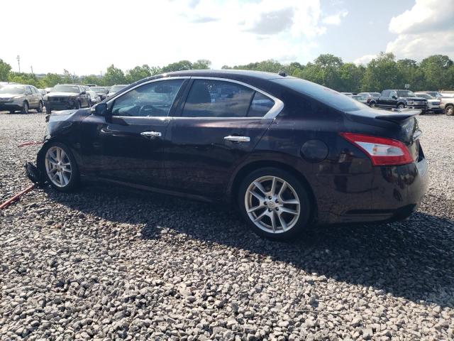 Photo 2 from auction – 2010 NISSAN MAXIMA S with VIN 1N4AA5AP9AC863928