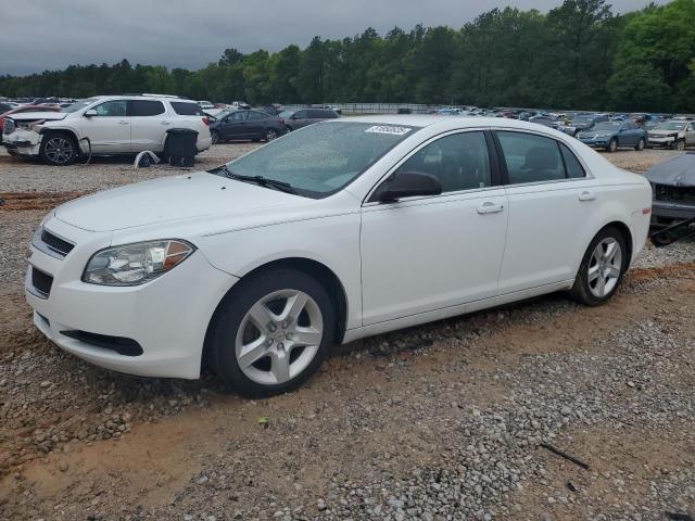 CHEVROLET MALIBU 2012 with VIN 1G1ZB5E04CF177605 - Photo from auction