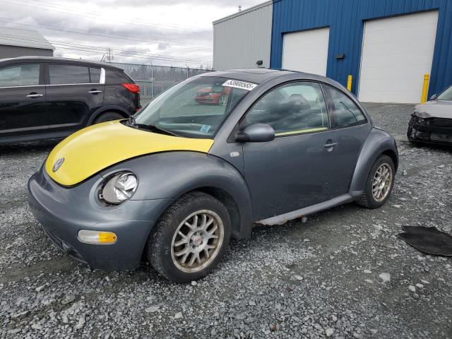 VOLKSWAGEN NEW BEETLE 2002 with VIN 3VWCB21C62M416966 - Photo from auction