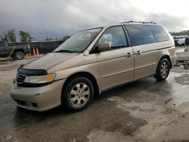 HONDA ODYSSEY EX 2002 with VIN 5FNRL18672B009151 - Photo from auction