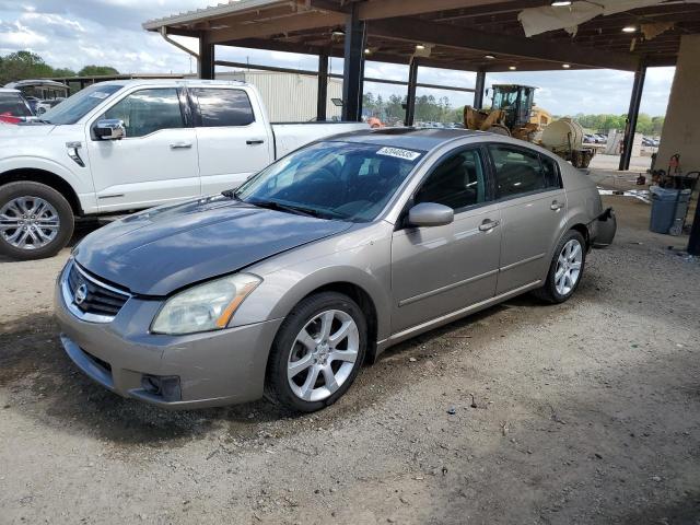 NISSAN MAXIMA SE 2008 with VIN 1N4BA41E38C802050 - Photo from auction