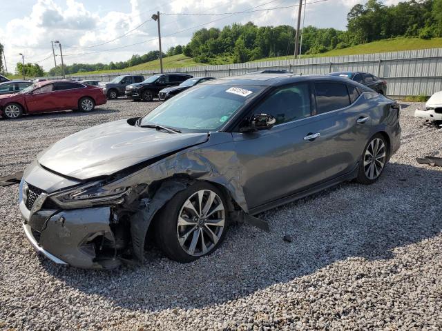 NISSAN MAXIMA PLA 2023 with VIN 1N4AA6FV3PC508954 - Photo from auction