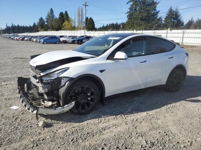 TESLA MODEL Y 2023 with VIN 7SAYGDEE9PA082428 - Photo from auction