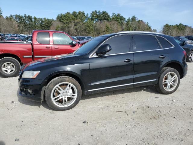AUDI Q5 PREMIUM 2017 with VIN WA1L2AFP3HA038775 - Photo from auction