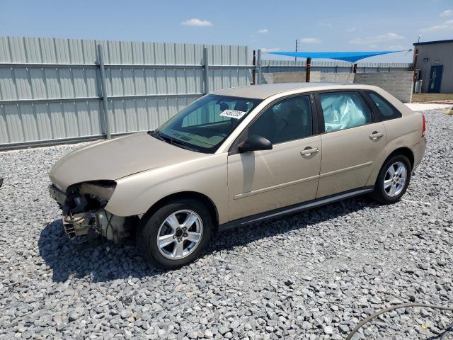 CHEVROLET MALIBU 2005 with VIN 1G1ZT62845F159315 - Photo from auction