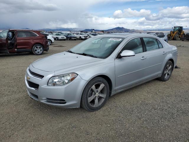 CHEVROLET 1500 2011 with VIN 1G1ZC5EU4BF165128 - Photo from auction
