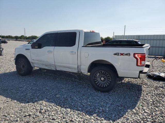 Zdjęcie 2 z aukcji – 2016 FORD F150 SUPER z VIN 1FTEW1EP3GFC13385
