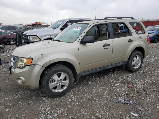 FORD ESCAPE XLT 2011 مع رقم تعريف المركبة 1FMCU0D73BKA68188 - صورة من المزاد