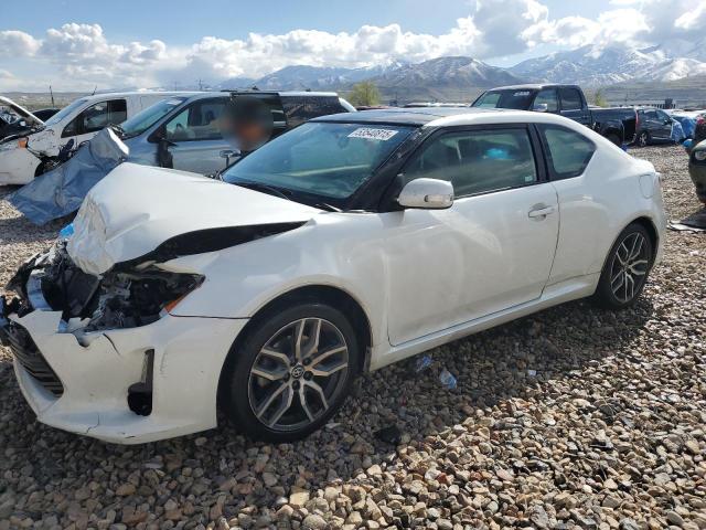 TOYOTA SCION TC 2016 with VIN JTKJF5C71GJ019954 - Photo from auction