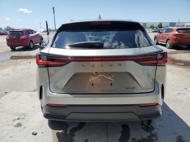 Photo 6 from auction – 2022 LEXUS NX 250 with VIN 2T2ADCAZ4NC001202