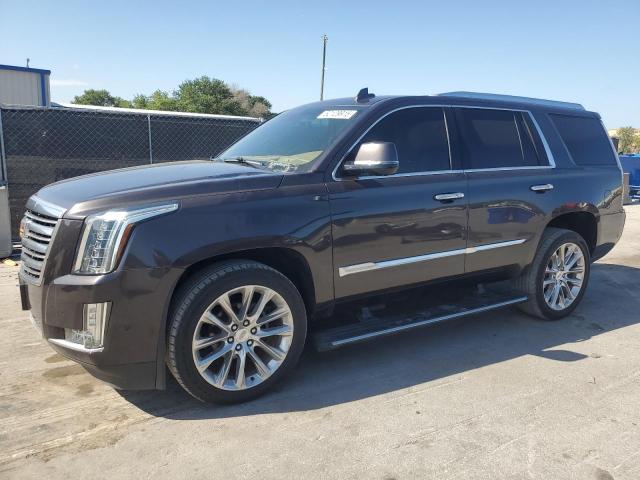 CADILLAC ESCALADE P 2018 with VIN 1GYS4DKJ4JR187437 - Photo from auction