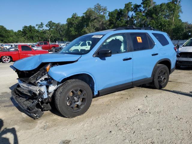 HONDA PILOT TRAI 2024 with VIN 5FNYG1H69RB043893 - Photo from auction