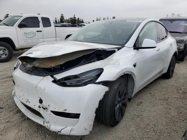 TESLA MODEL Y 2024 with VIN 7SAYGDEE1RF191665 - Photo from auction