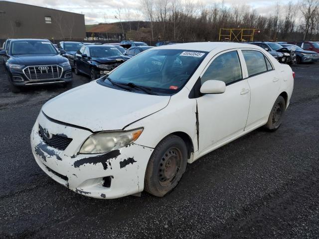 TOYOTA COROLLA BA 2010 with VIN 2T1BU4EE2AC344090 - Photo from auction
