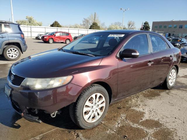 KIA FORTE EX 2010 with VIN KNAFU4A29A5066330 - Photo from auction