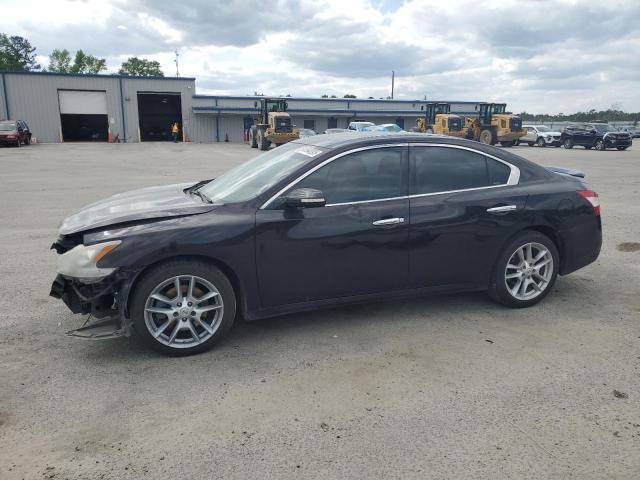 NISSAN MAXIMA S 2010 with VIN 1N4AA5AP3AC819195 - Photo from auction