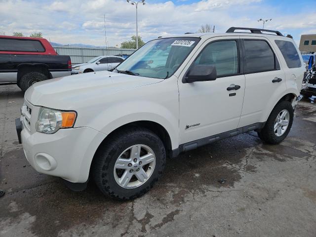 FORD ESCAPE HYB 2010 with VIN 1FMCU5K30AKD22225 - Photo from auction