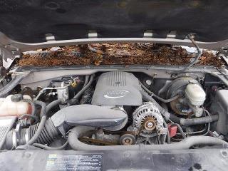 Photo 6 from auction – 2006 GMC NEW SIERRA with VIN 1GTEK19B66Z196640