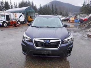 Photo 5 from auction – 2019 SUBARU FORESTER with VIN JF2SKACC9KH531783