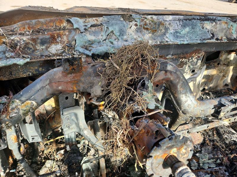 Photo 9 from auction – 2018 CHEVROLET SILVERADO with VIN 1GC1KVEY3JF240569