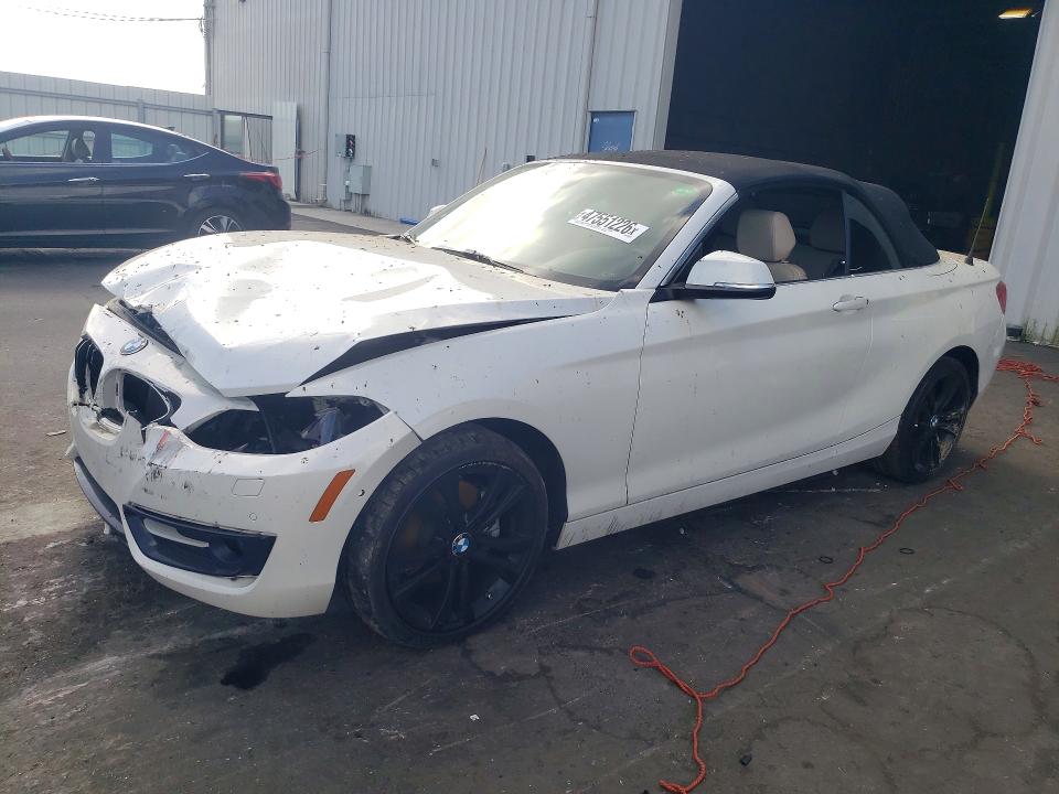 BMW 228 2016 with VIN WBA1K9C59GV321748 - Photo from auction
