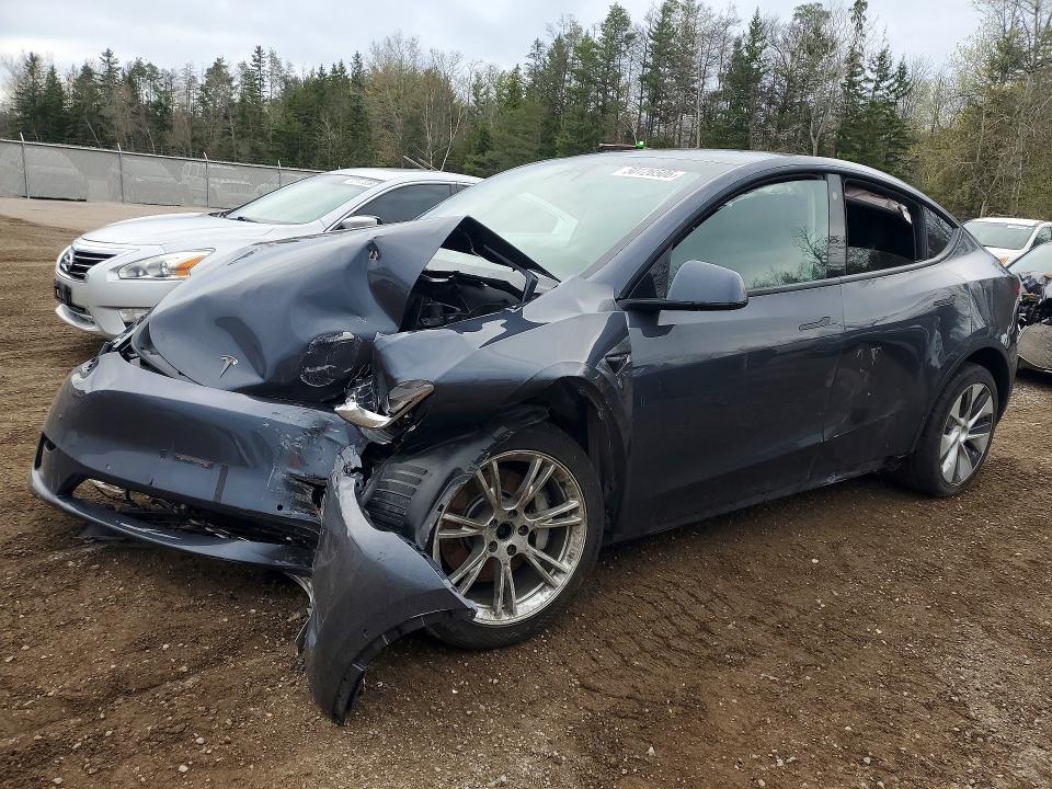 TESLA MODEL Y 2022 with VIN 7SAYGDEE4NF504945 - Photo from auction