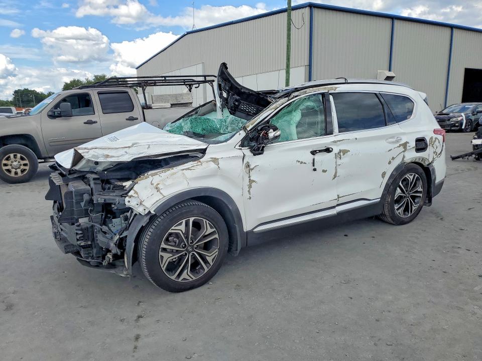 HYUNDAI SANTA FE 2019 with VIN 5NMS53AA4KH117344 - Photo from auction
