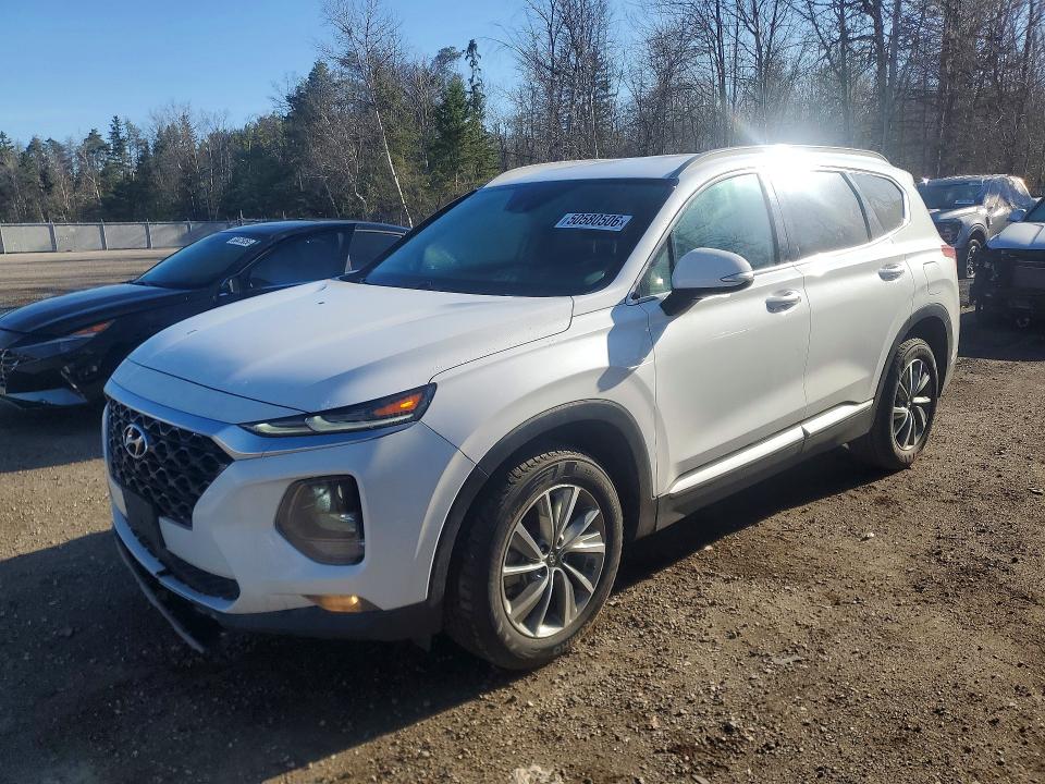 HYUNDAI SANTA FE 2019 with VIN 5NMS3CAD5KH038281 - Photo from auction