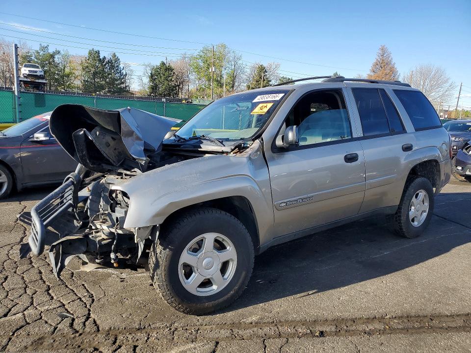 Photo 1 from auction – 2002 CHEVROLET TRAILBLAZER with VIN 1GNDT13S622160376
