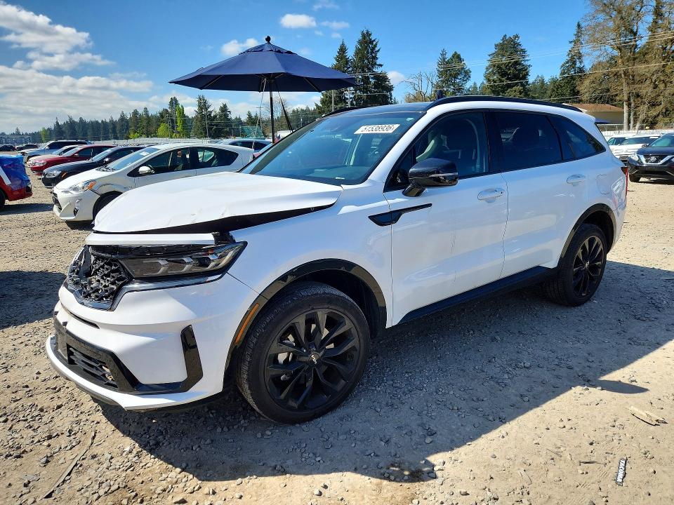 KIA SORENTO 2023 with VIN 5XYRKDLF6PG233314 - Photo from auction