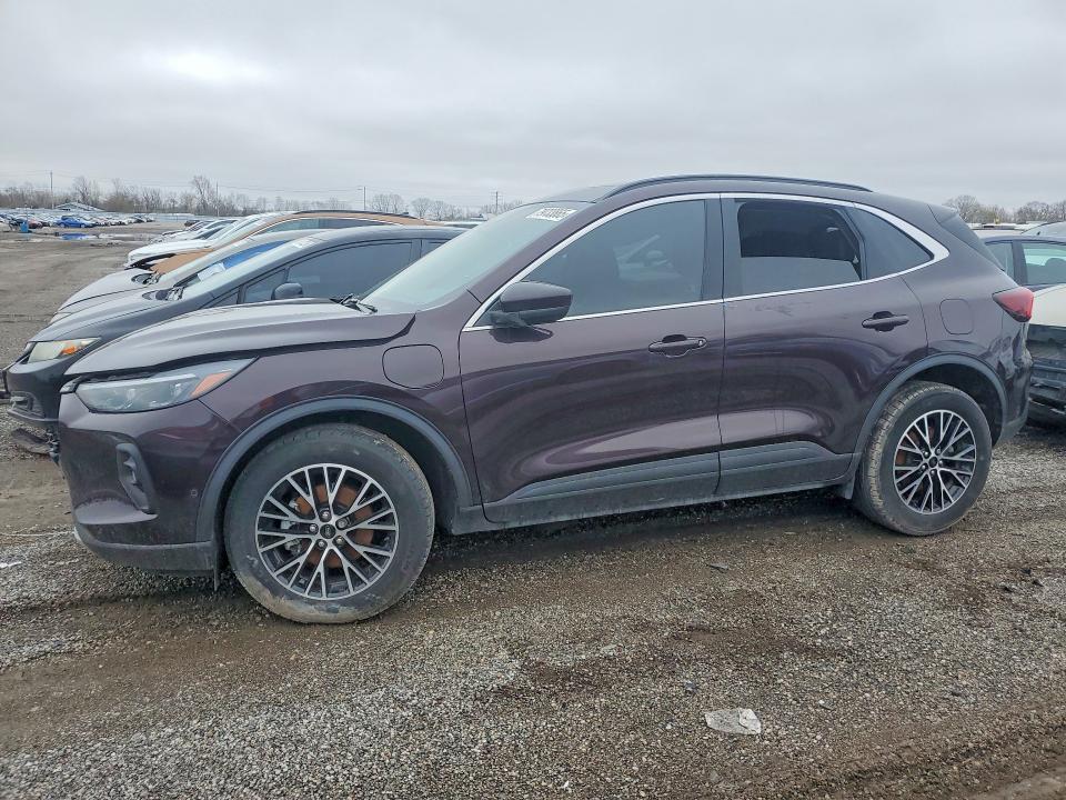 FORD ESCAPE 2023 with VIN 1FMCU0E13PUA25962 - Photo from auction