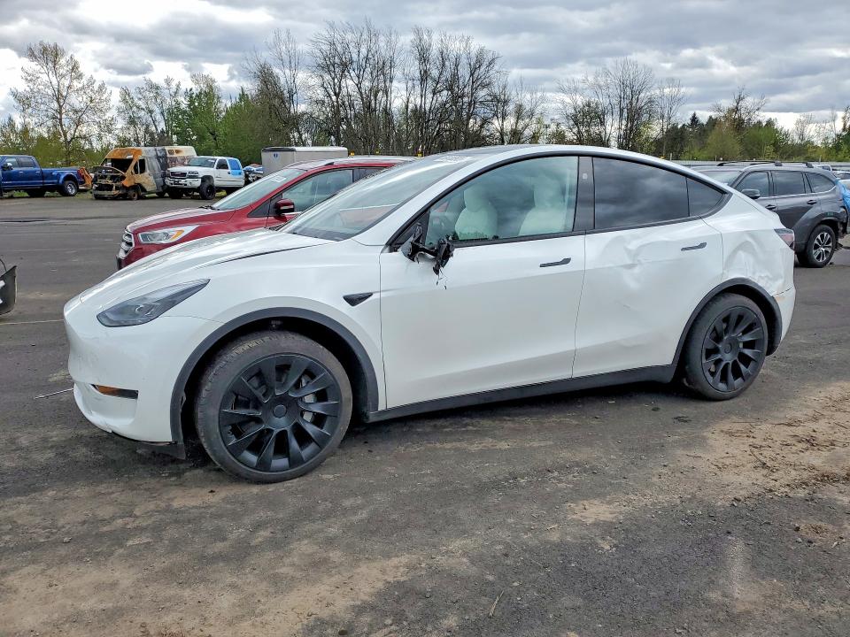 TESLA MODEL Y 2025 with VIN 7SAYGDED0SF281595 - Photo from auction