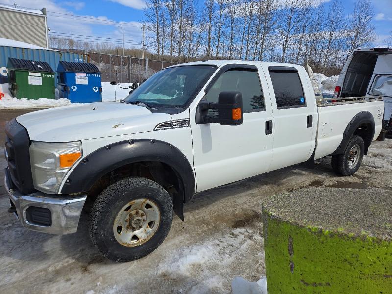 FORD F250 2014 with VIN 1FT7W2B61EEA23954 - Photo from auction