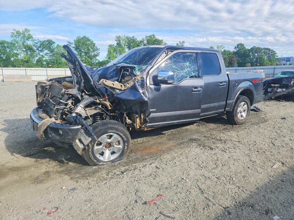 FORD F150 2015 with VIN 1FTEW1EG0FFA50371 - Photo from auction