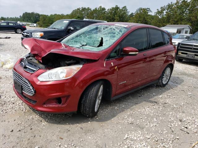 FORD C-MAX SE 2016 with VIN 1FADP5AU5GL120435 - Photo from auction