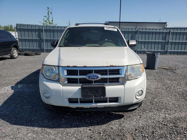 Photo 5 from auction – 2011 FORD ESCAPE XLT with VIN 1FMCU9DG5BKB49391