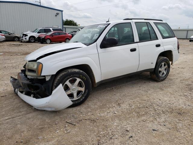 CHEVROLET TRAILBLAZE 2005 with VIN 1GNDS13S852124356 - Photo from auction