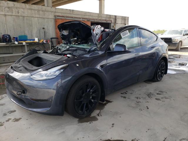 TESLA MODEL Y 2023 with VIN 7SAYGDEE1PA057149 - Photo from auction