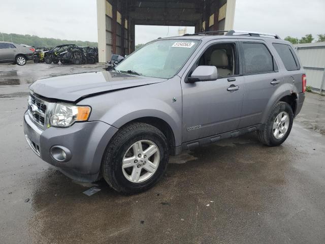 FORD ESCAPE HEV 2008 with VIN 1FMCU59H98KA79901 - Photo from auction
