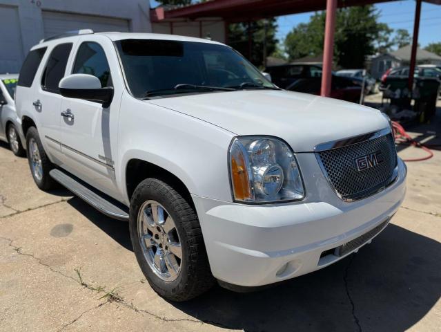 GMC YUKON DENA 2010 with VIN 1GKUCEEFXAR131067 - Photo from auction
