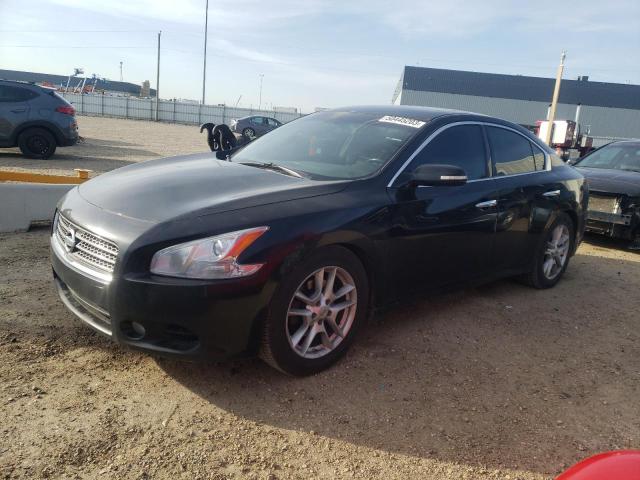 NISSAN MAXIMA S 2010 с VIN 1N4AA5AP2AC829586 - Фото с аукциона