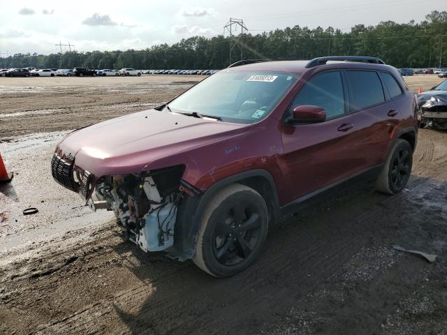 JEEP CHEROKEE L 2020 with VIN 1C4PJLLBXLD606154 - Photo from auction