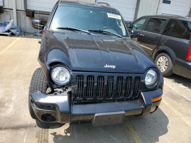 Photo 5 from auction – 2003 JEEP LIBERTY LI with VIN 1J4GL58K53W577157
