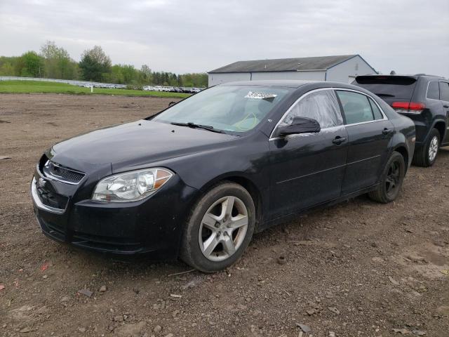 CHEVROLET MALIBU LS 2012 with VIN 1G1ZB5E00CF113187 - Photo from auction