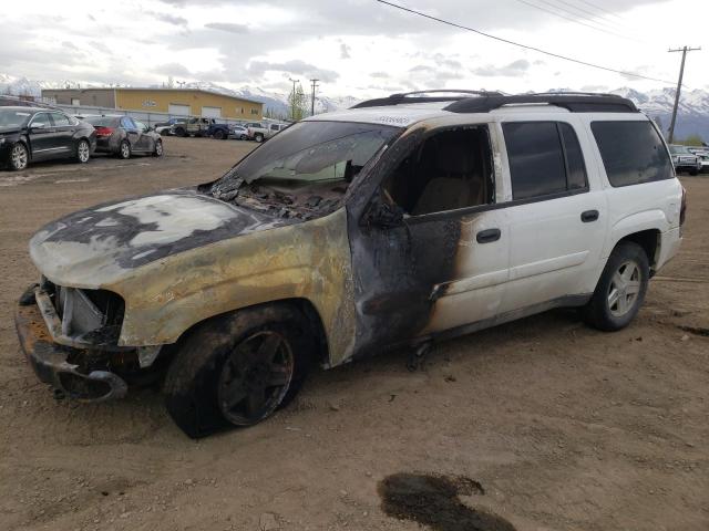 CHEVROLET TRAILBLAZE 2003 with VIN 1GNET16S436175095 - Photo from auction