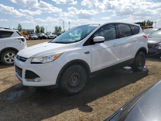 Photo 1 from auction – 2014 FORD ESCAPE SE with VIN 1FMCU0GX7EUD53917