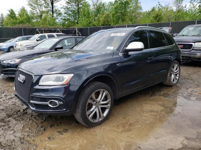 AUDI SQ5 PREMIU 2014 with VIN WA1CGAFP6EA037018 - Photo from auction