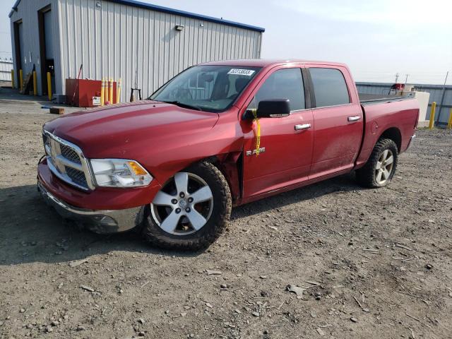 DODGE RAM 1500 2009 with VIN 1D3HV13T59S765701 - Photo from auction